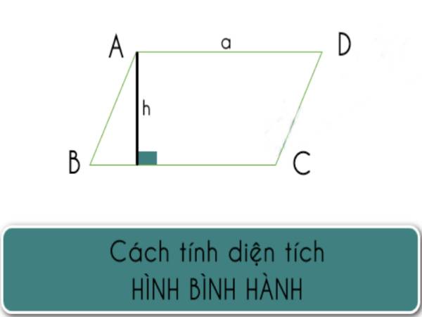 Cách tính diện tích khi biết trước chiều cao và diện tích hình bình hành mẫu